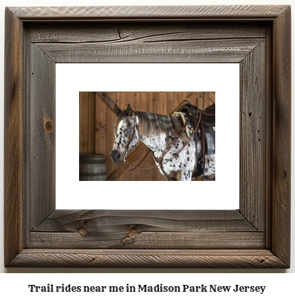 trail rides near me in Madison Park, New Jersey